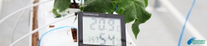 Temperature control in Greenhouses